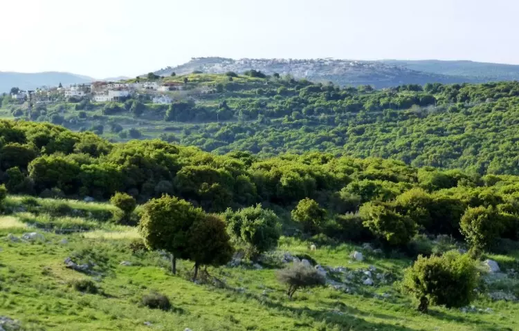 View across Dayr al-Qasi